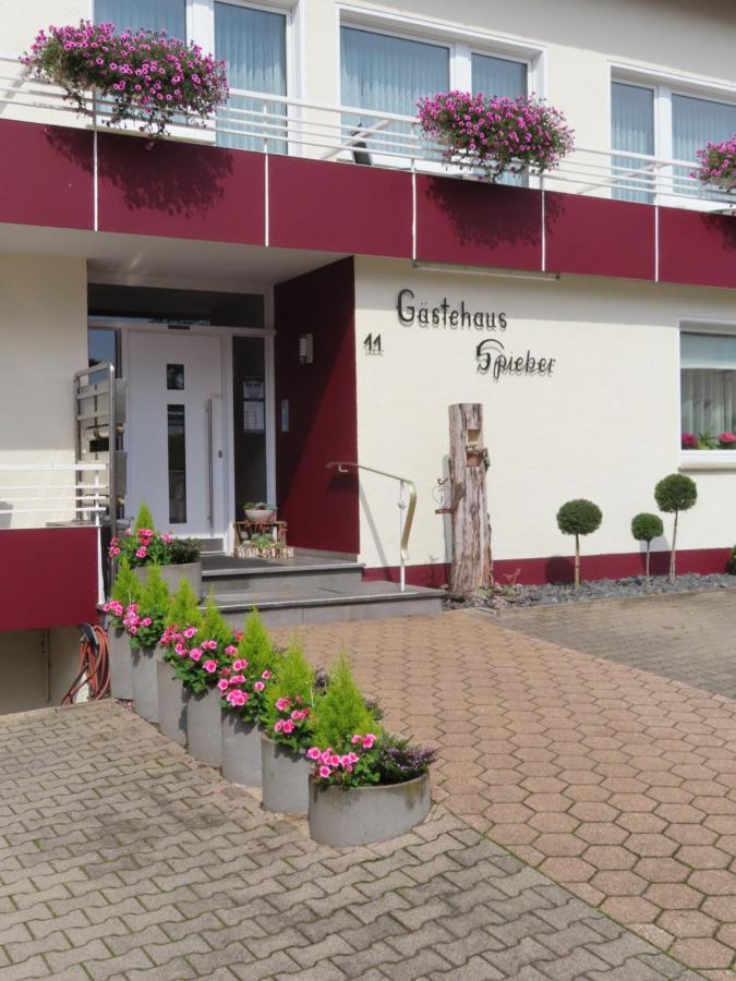 Gaestehaus Spieker Horn-Bad Meinberg Luaran gambar